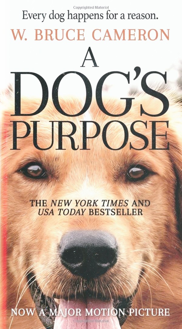 Ο Καλύτερός μου Φίλος, A dog's purpose του Lasse Hallström (2017) ο καλύτερός μου φίλος κριτική a dog's purpose κριτική